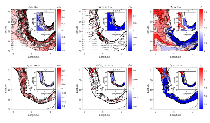 Fig. 1: Daily mean current velocities (v_d), EKE and temperature at the surface and at 266 m depth for a randomly selected day in January 2022. The small plots show the distributions summarized over January 2022. The arrows show the mean current velocity with flow direction.