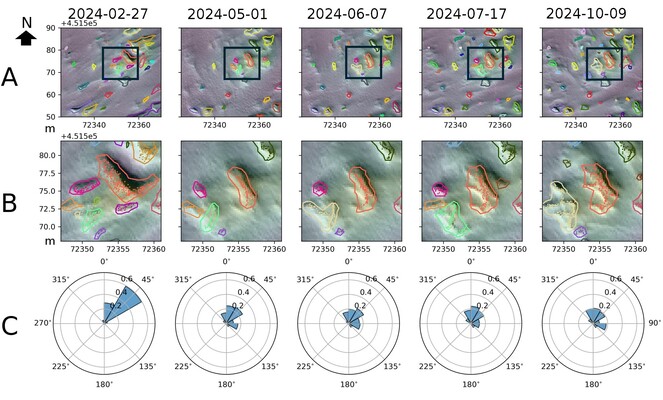 Figure 1: A) Spatial extent of different dunes, automatically extracted through the Medial Axis Transform (MAT). B) Zoom on black box of A. Here the planar projection of the internal MAT is shown for each extracted dune. C) Distribution of orientation of the internal MAT of the dunes.