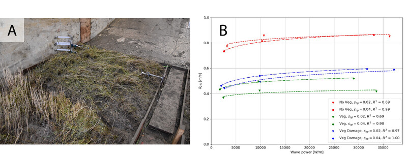 State of the saltmarsh at the toe of the dike after ca. 20 hours of wave exposure with the ADV deployed at the right side of the block (panel A) and maximum near-bed velocities for different states of the vegetation (panel B)