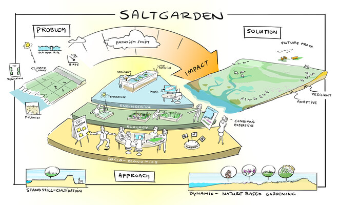 Planned impact and approach of the SALTGARDEN project (illustration by Joost Fluitsma).