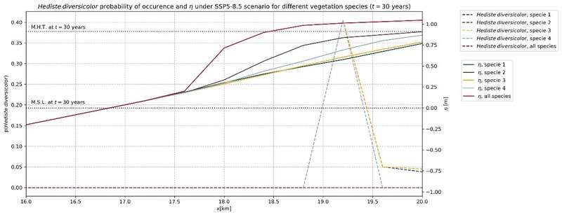 Figure 3. Probability of occurrence of Hediste diversicolor along the marsh at the end of 30-years simulation (SSP5-8.5) using bed elevation (η) of different vegetation scenarios as reference.