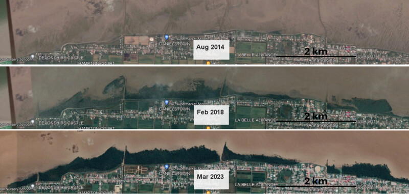 Development of green-grey coastal defence infrastructure around Anna Regina, Guyana (Google Earth satellite images). From Deltares and Conservation International (2022).