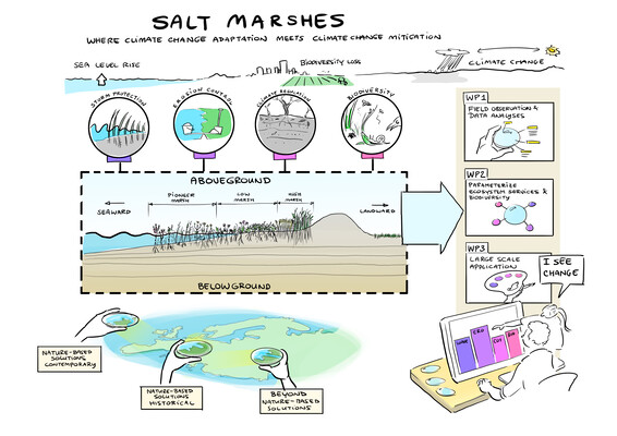 Graphical abstract of the research project 