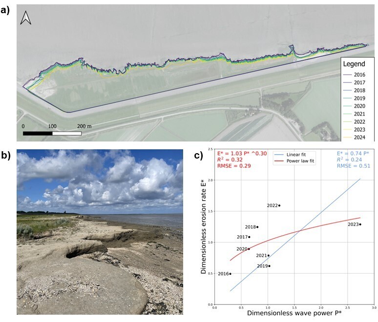 Figure1: a) The Wierum marsh edge location from 2016 until 2024, showing a lateral retreat. A background the aerial image of 2016 is used.; b) Picture of the cliffs at the Wierum marsh; c) Relation between dimensionless wave power (P*) and dimensionless erosion rate (E*) including a linear fit (blue) and a power law fit (red).