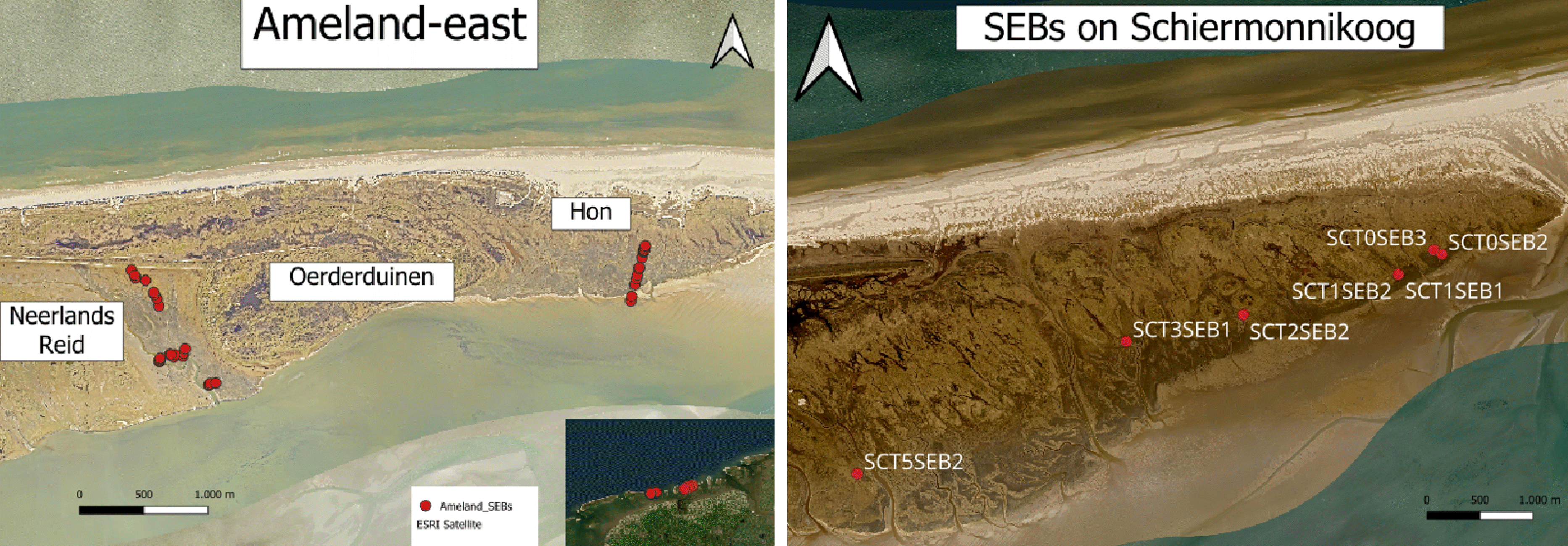 Locations of sedimentation-erosion bars (SEBs) used in this study. SEBs are located along the back-barrier islands of Ameland and Schiermonnikoog, Dutch Wadden Sea.