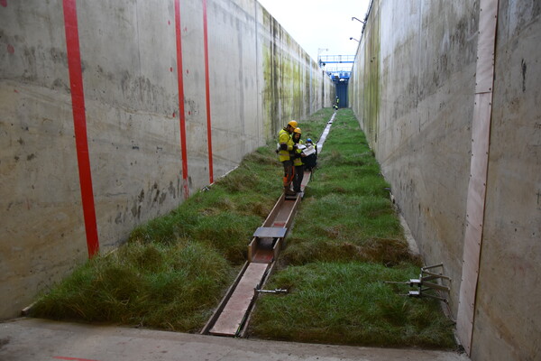 Morning activities along a vegetated Delta flume