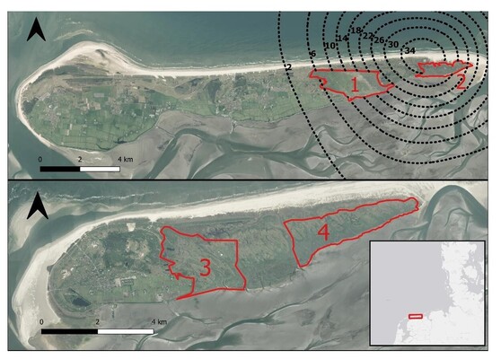 Aerial image of the two study sites: Ameland and Schiermonnikoog. Top: Ameland with grazed marsh Neerlands Reid (1) and ungrazed marsh De Hon (2). Bottom: Schiermonnikoog with the grazed marsh (3) and the ungrazed marsh with an similar age to the De Hon (4). The red lined areas are our study sites. The dotted black lines indicate the deep soil subsidence in cm (NAM, 2022).