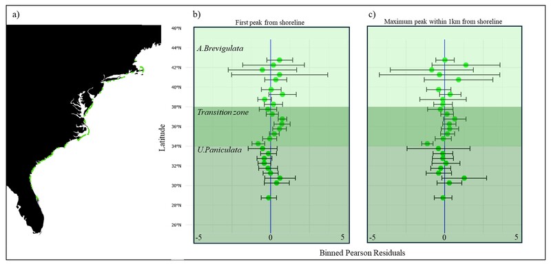 Panel a) shows the outline of the USA, in which green points depict natural coastal dune systems included in the analysis, the y-axis expresses latitude. Pearson residuals based on GLMs for the prediction of dune height are averaged over 0.5° latitude intervals and are plotted versus latitude mid-point of the bin. Panel b)shows the residuals based on the GLM to predict the first elevation peak from the shoreline (proxy for dune height). Panel c) shows the maximum elevation peak within 1 km from the shoreline (proxy for dune height). The error bar displays the standard deviation in Pearson residuals per latitude bin. The latitudinal range of A. Brevigulata and U. Paniculata is depicted in light green and dark green respectively. 